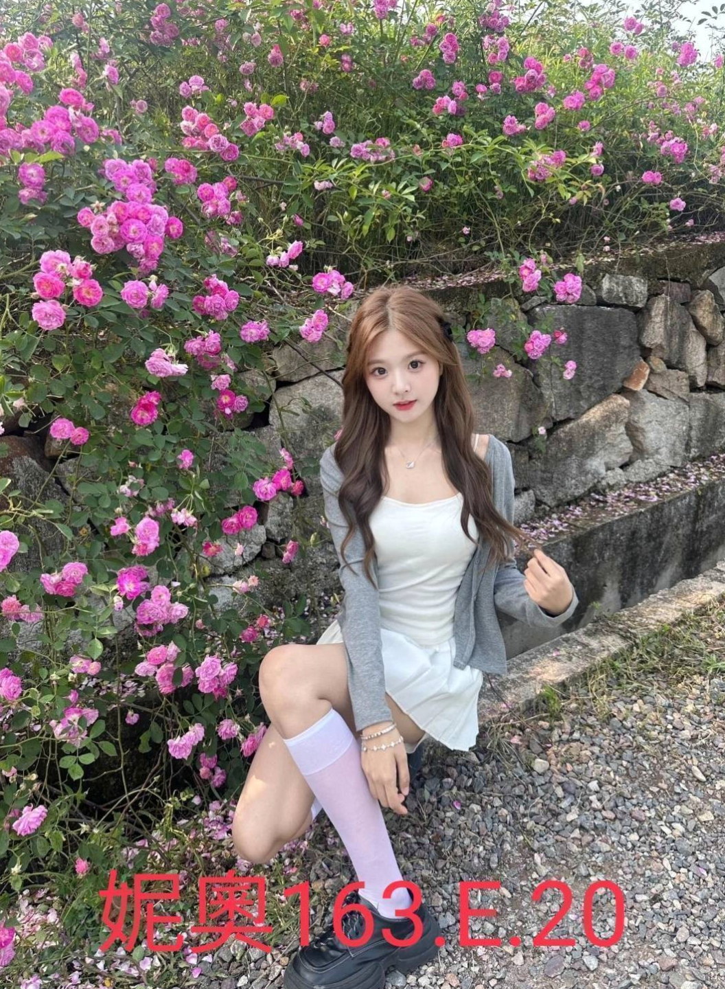 🌸六甲伴遊 瑤瑤🌸外語系系花